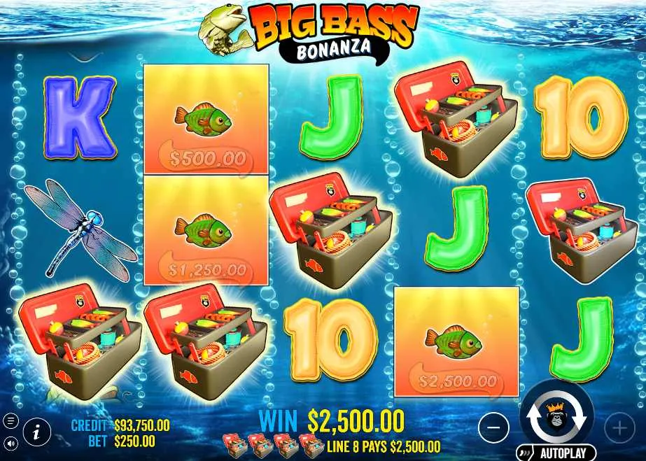 Bankroll-Management als Fundament jeder Spielstrategie